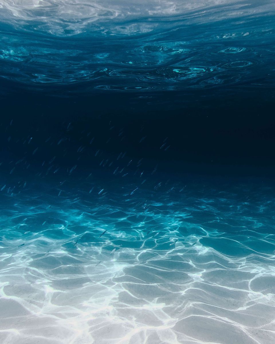 Guidesly Scuba Fishing reports